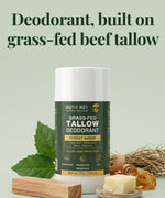 Grass-Fed Tallow Magnesium & Zinc Deodorant