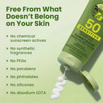 Organic Tallow Mineral Sunscreen Lotion SPF 50