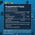 Shilajit Gummies – 1500 mg, Sugar-Free, Vegan