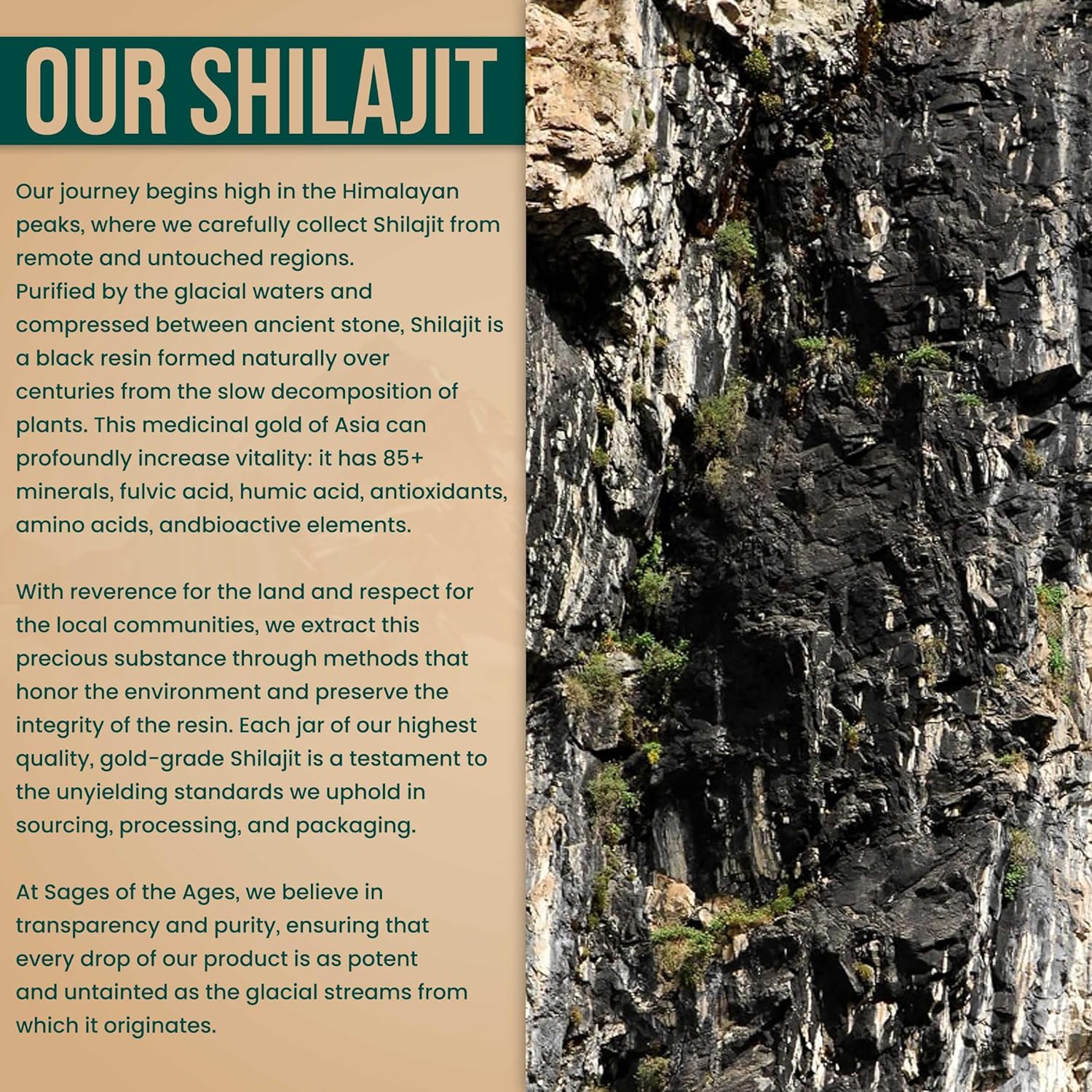 Sages Of The Ages™ Pure Himalayan Shilajit Resin - 30 Grams