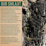 Premium Himalayan shilajit resin - Sages of the Ages