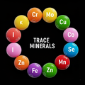 Traces Minerals