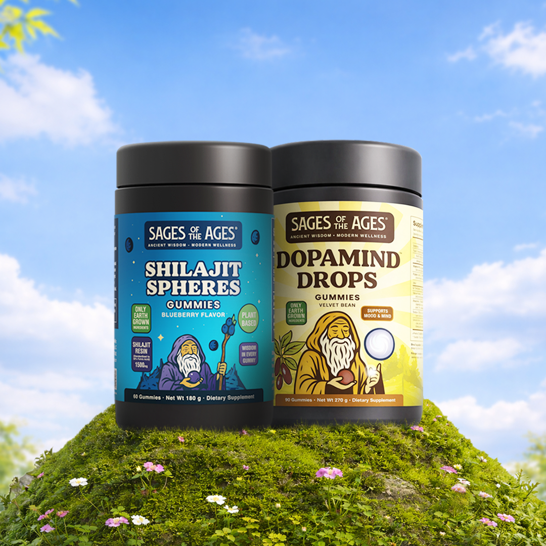 Sacred Economics in Action