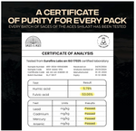 Premium Himalayan shilajit resin - Sages of the Ages
